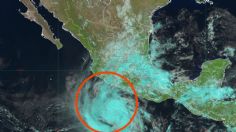 Tormenta tropical Kristy: fecha exacta en la que podría convertirse en huracán de categoría 2