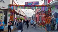 Entre xolos y altares, así celebrarán el Día de Muertos en Ajijic