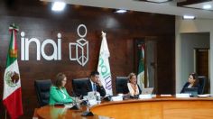 ¿El INAI se fusionará con otra dependencia?: Comisionada Julieta del Río revela el futuro del instituto