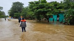 Veracruz: 50 mil hectáreas de caña afectadas por lluvias en Hueyapan de Ocampo