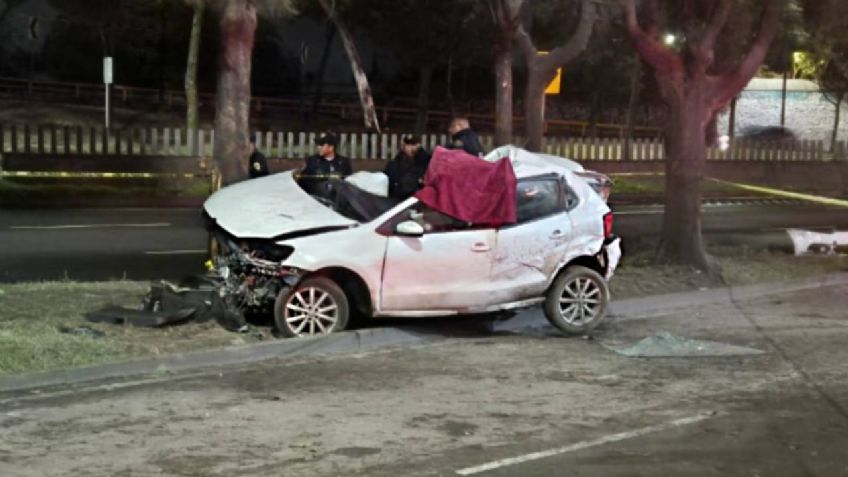 Fatal accidente: hombre muere prensado tras chocar contra un árbol en Río San Joaquín | VIDEO