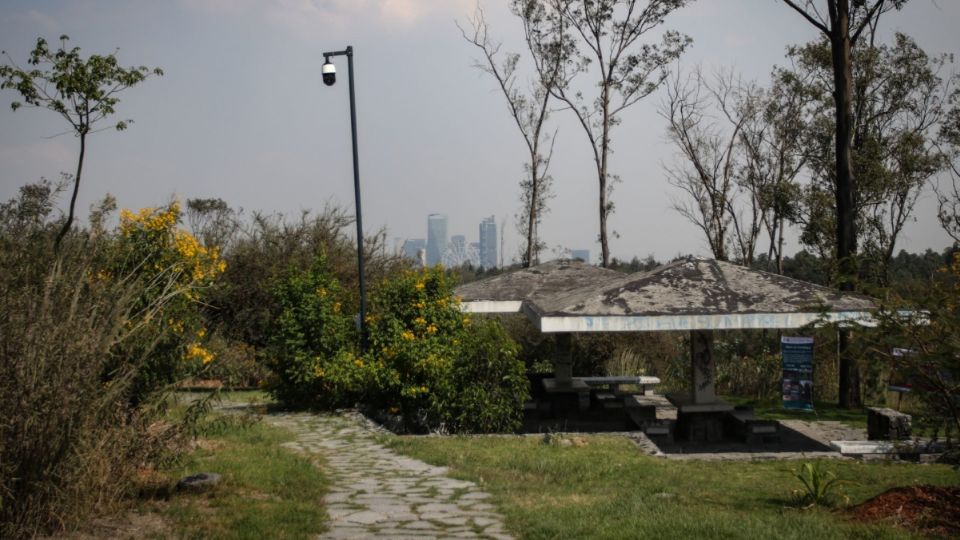 Vista general de una parte de la tercera sección del Bosque de Chapultepec.