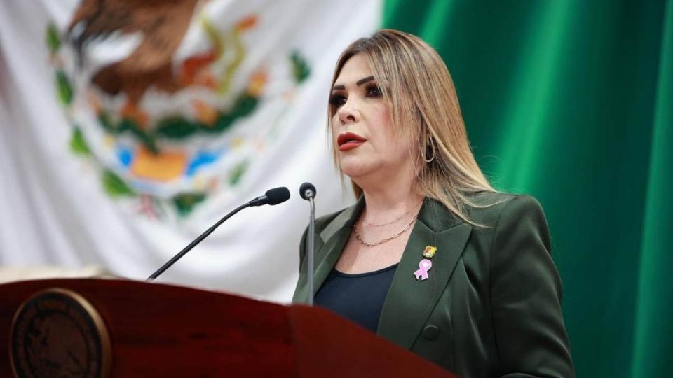 Rocío Esther González Garcia, Secretaría General de Gobierno durante su comparecencia