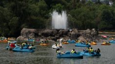 Morena defenderá el Bosque de Chapultepec con todos los instrumentos jurídicos, no permitirán construcción de edificio de lujo