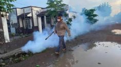 Las nebulizaciones contra el dengue son seguras en Nayarit, asegura la Secretaría de Salud