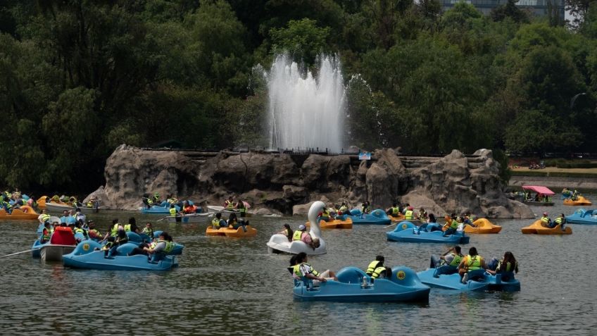 Morena defenderá el Bosque de Chapultepec con todos los instrumentos jurídicos, no permitirán construcción de edificio de lujo