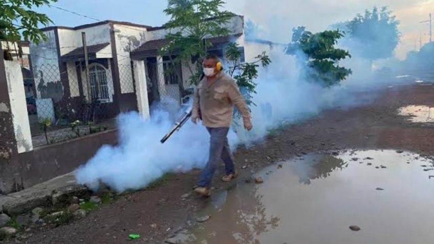 Las nebulizaciones contra el dengue son seguras en Nayarit, asegura la Secretaría de Salud