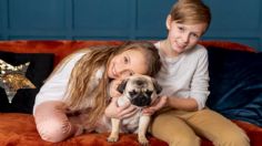 Qué razas de perros son las mejores para convivir con los niños