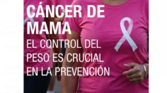 Cáncer de mama, múltiples factores