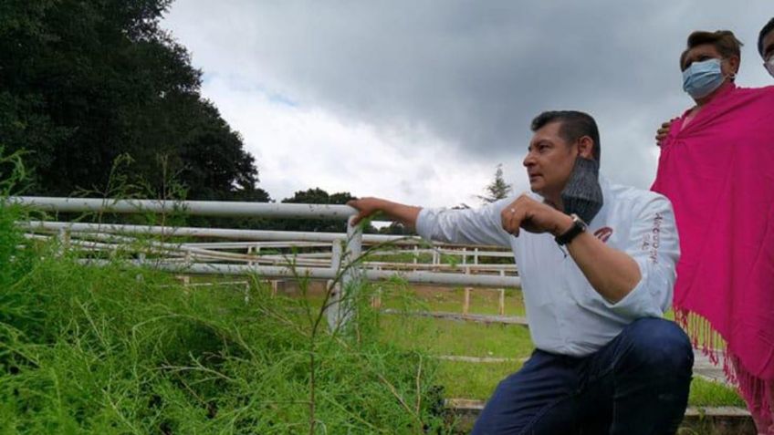 Alejandro Armenta: alineada al Programa Nacional de Soberanía Alimentaria, la transformación del campo en Puebla