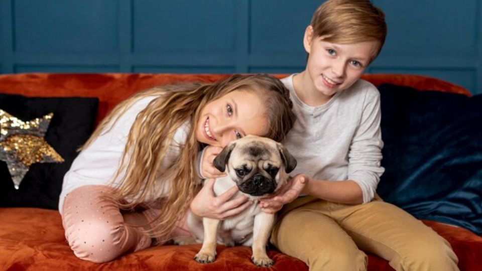 Qué razas de perros son las mejores para convivir con los niños. Fuente: Freepik