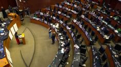 Ríspida comparecencia comparecencia de Rosario Piedra en el Senado en la busqueda de reelección