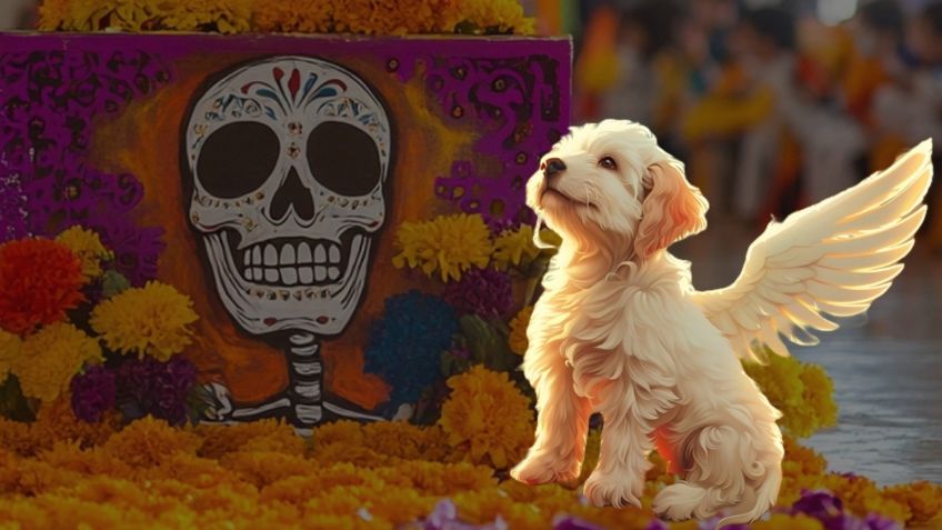 Día de Muertos: a qué hora llegan HOY los perros y gatos a la ofrenda