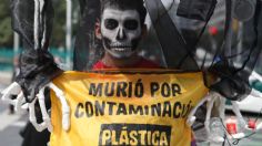 En el marco de Día de Muertos, Greenpeace exige frenar los “cementerios de plástico”: ¿qué son y qué daños provocan?