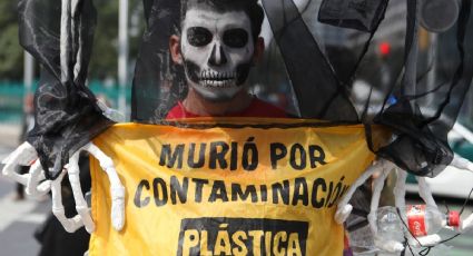 En el marco de Día de Muertos, Greenpeace exige frenar los “cementerios de plástico”: ¿qué son y qué daños provocan?