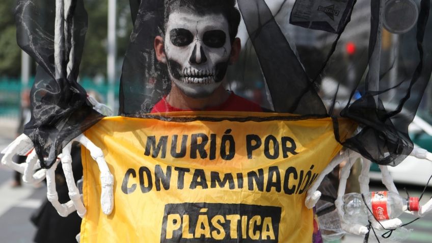 En el marco de Día de Muertos, Greenpeace exige frenar los “cementerios de plástico”: ¿qué son y qué daños provocan?