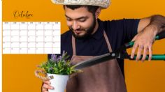 Calendario de poda: estas son las plantas que debes cortar en octubre