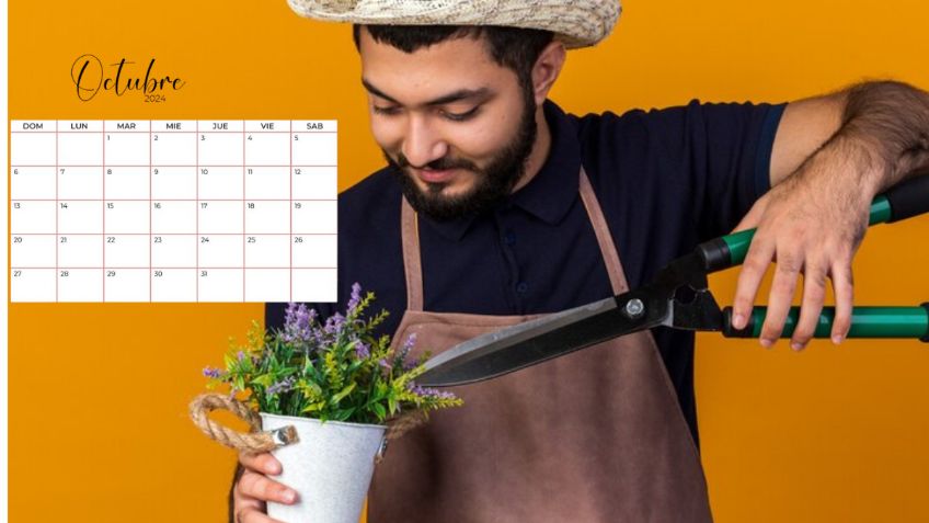 Calendario de poda: estas son las plantas que debes cortar en octubre