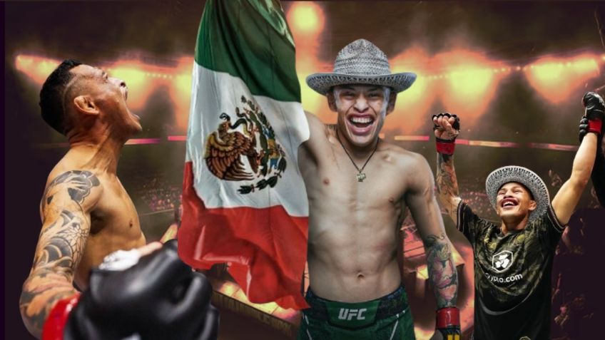 De vender gelatinas y dulces en camiones a estrella de la UFC, la historia de Lazy Boy