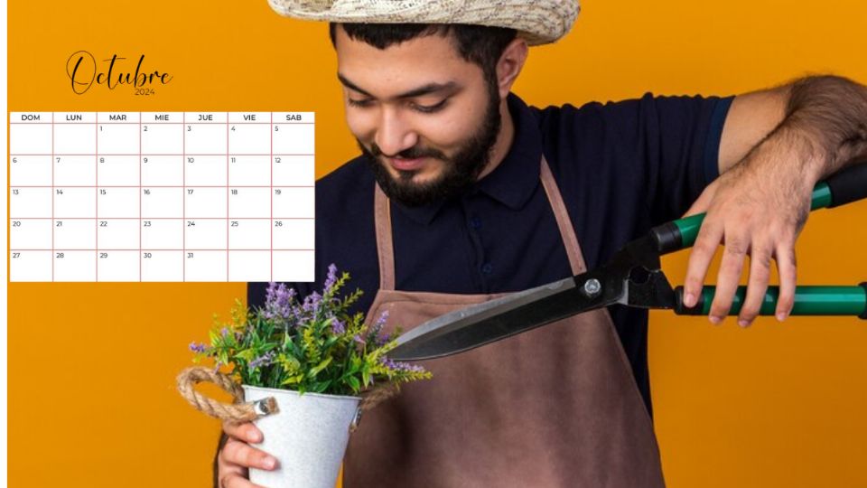 Calendario de poda: estas son las plantas que debes cortar en octubre. Fuente: Canva