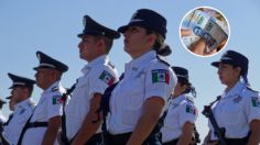 Ofrecen más de 12 mil pesos al mes por trabajar como Guardia de Protección Federal, solo necesitas la secundaria