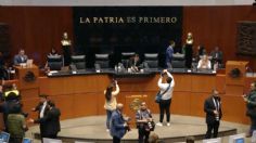 Senado garantiza recursos para programas sociales con reforma constitucional