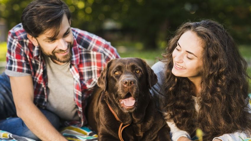 6 de cada 10 perros y gatos padecen sobrepeso y ¡el 90% de los dueños no lo sabe!