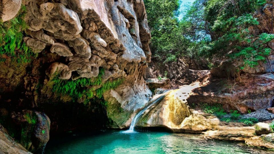 Alertaron sobre el blanqueamiento de los arrecifes coralinos