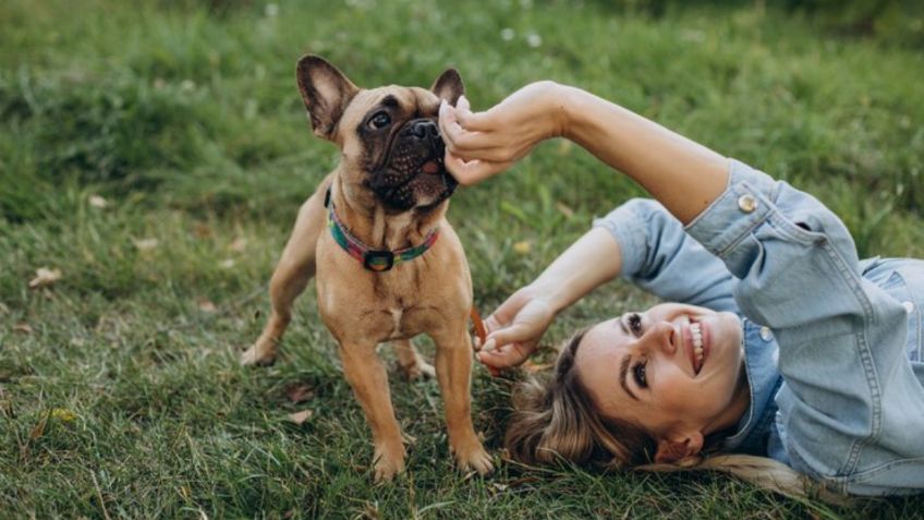 Mascotas: descubre cómo hacen los perros para reconocer al humano más débil de su casa