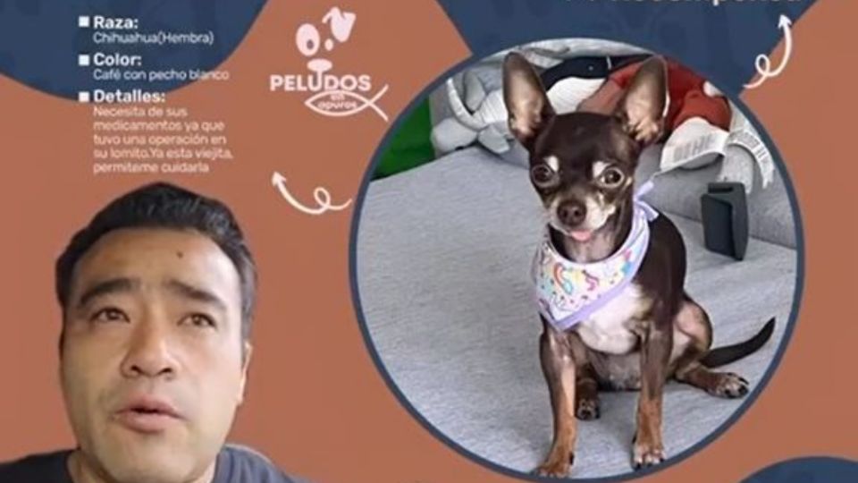 José Villegas ha buscado por más de 2 meses a su pequeña mascota que se le soltó a su paseador en una ciclopista en Naucalpan.