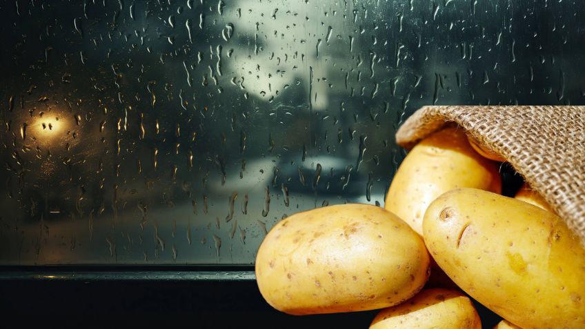 El ingrediente de cocina que hace repelentes los vidrios del coche que te salvará en la temporada de lluvia