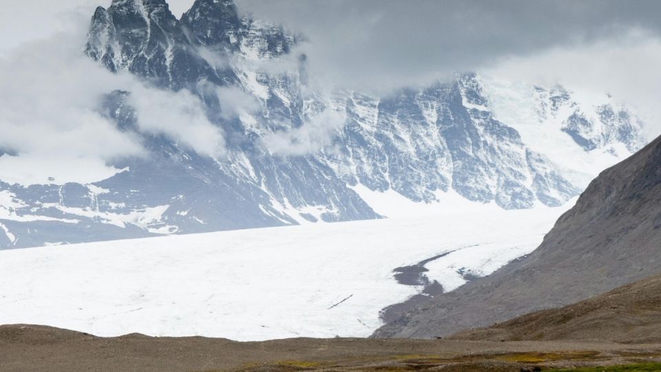 La extensión de área verde es cada vez mayor.