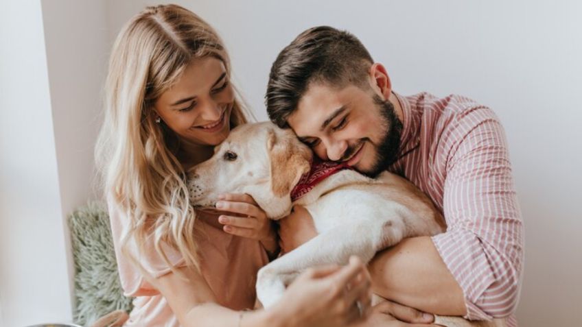 Estudio de la Universidad de Helsinki confirma la raza de perro más cariñosa de todas