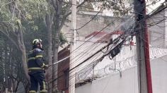 Ardilla muere electrocutada y causa incendio