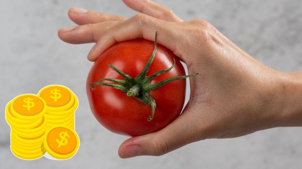 El jitomate es uno de los alimentos que tuvieron un precio más accesible en septiembre.