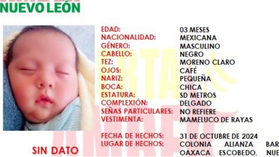 El bebé presuntamente fue robado por una pareja de mujeres