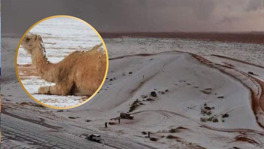 Desierto de Arabia vuelve a ser de hielo, ahora la nieve cubre otra región por primera vez