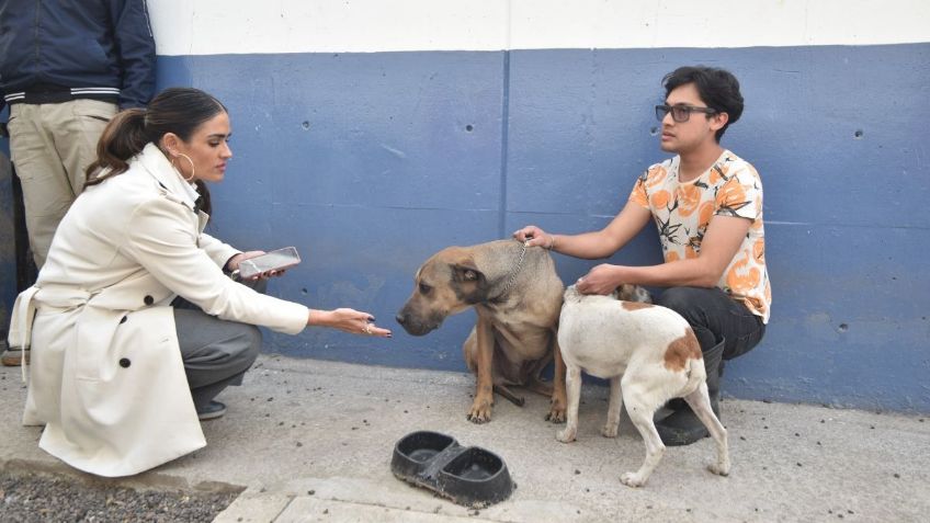 Van por rescatar el Hotel para Perros y Gatos de la Cuauhtémoc