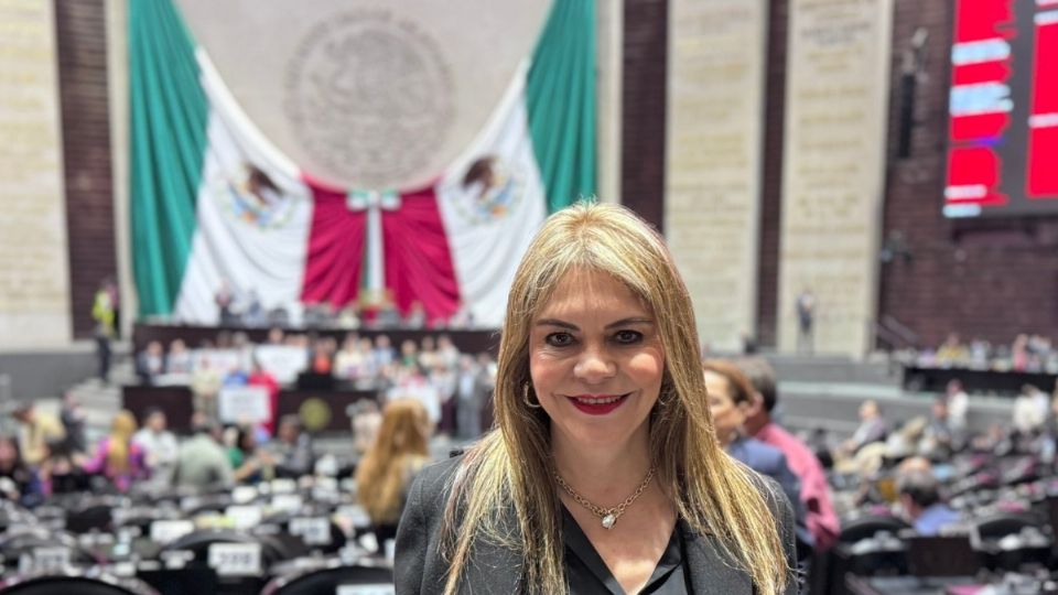 Rosy Urbina explicó que la frontera sur también afronta retos importantes, pero de esos retos pueden surgir oportunidades.