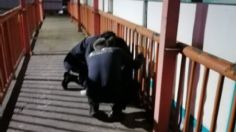 IMÁGENES FUERTES: Policías evitan que estudiante de secundaria se arroje desde un puente en Ixmiquilpan