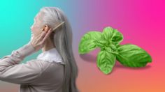 Adiós a las canas: cuál es el mejor tinte natural para ocultarlas usando hojas de plantas