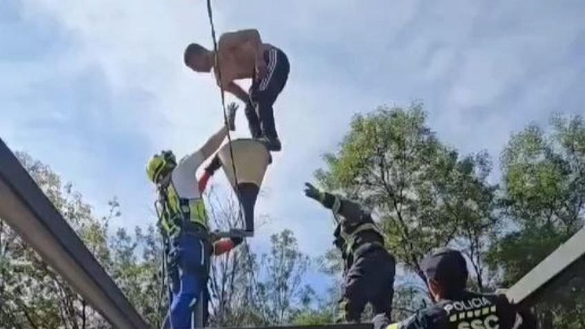 NUEVAS IMÁGENES: momento en que hombre se arroja de puente peatonal y cae sobre tráiler de Pemex