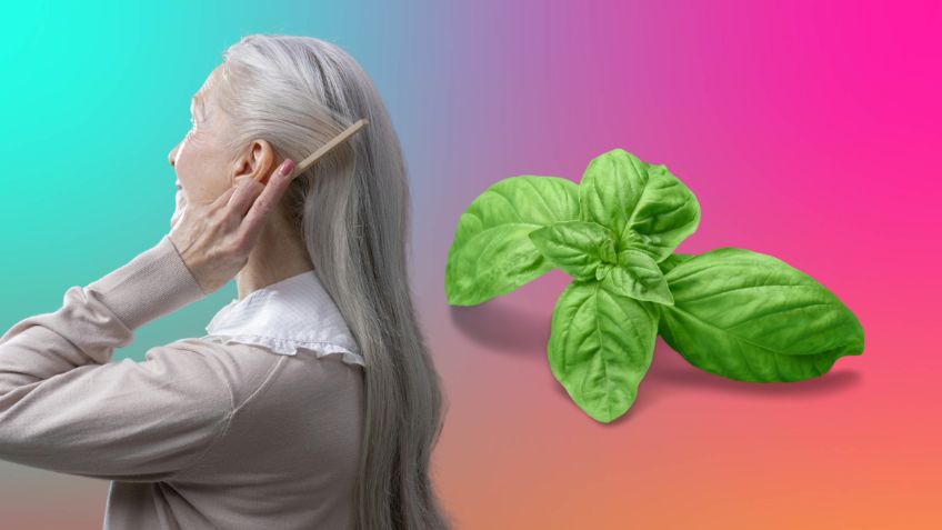 Adiós a las canas: cuál es el mejor tinte natural para ocultarlas usando hojas de plantas