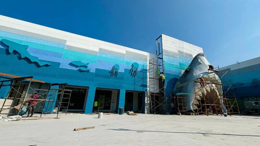 ¿Cuándo reabren el Aquarium Veracruz? Así luce tras remodelación | FOTOS