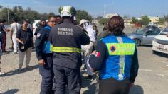 Abejas atacan a asistentes en el Estadio Bicentenario en Querétaro; más de 50 afectados