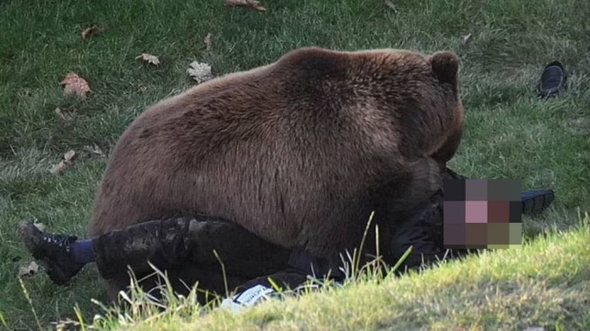 Oso casi mata a joven en feroz ataque en un zoológico, captan las aterradoras imágenes