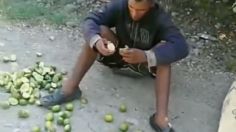 Lo obligan comerse el costal de limones que robó para no cortarle las manos: VIDEO