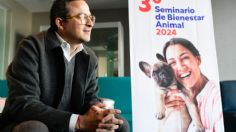 Mayor educación para promover la adopción