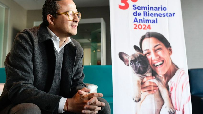 Mayor educación para promover la adopción