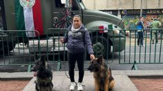 Roko y Arkadas, perros rescatistas, conquistan en el Desfile del 20 de Noviembre